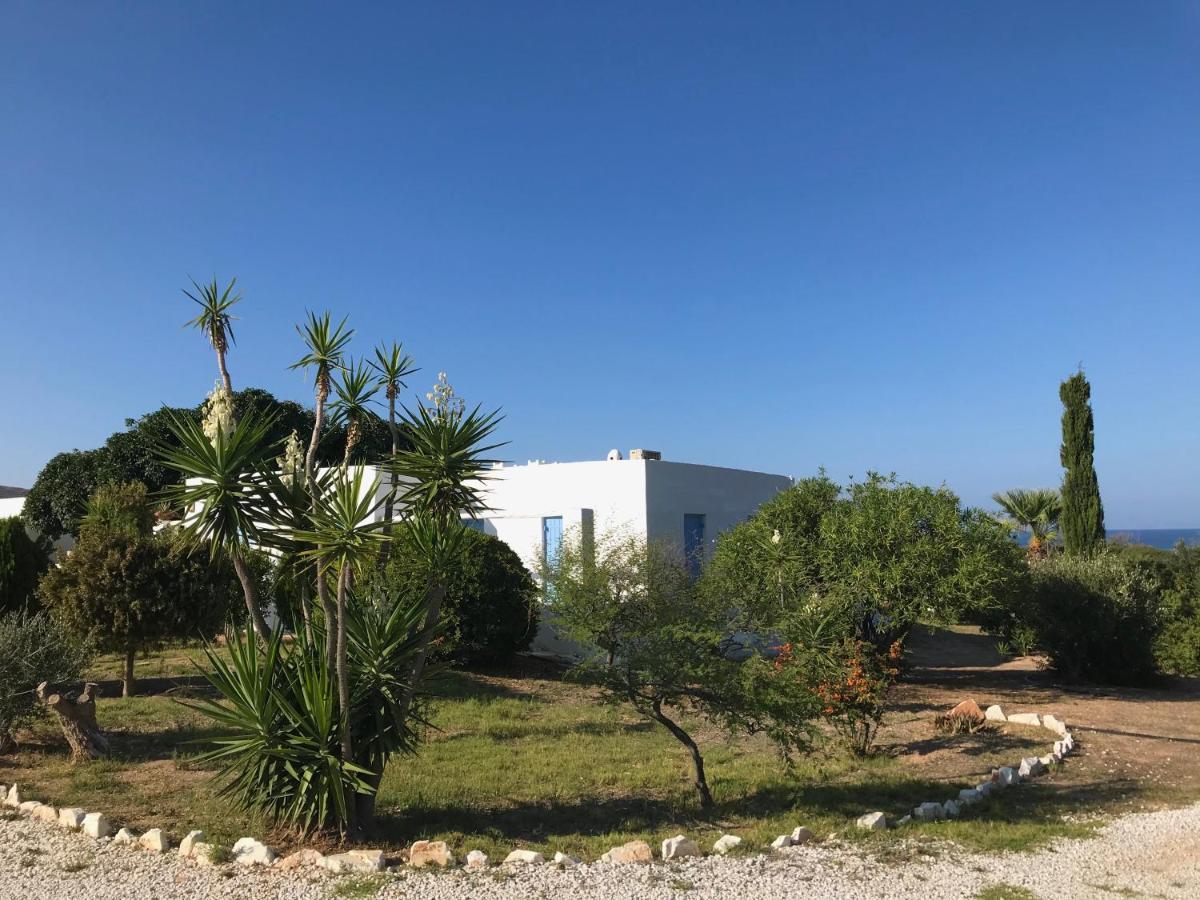 Villa Villaloz Naousa (Paros)